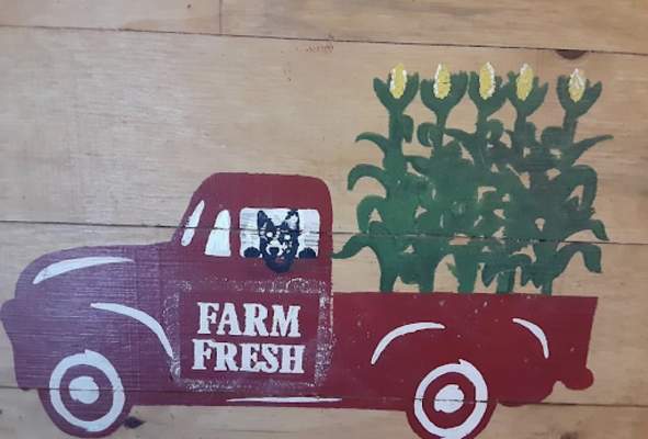 Farm Stand at the Historical Museum