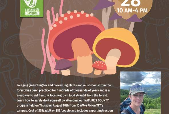 Nature's Bounty: Learn How to Forage Food From the Forest