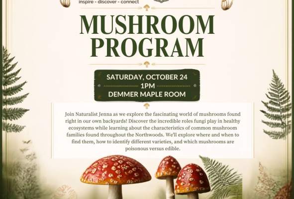 MUSHROOM PROGRAM