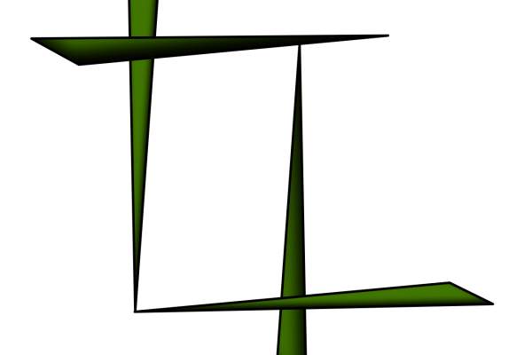 12th Annual Snowshoe Celebration