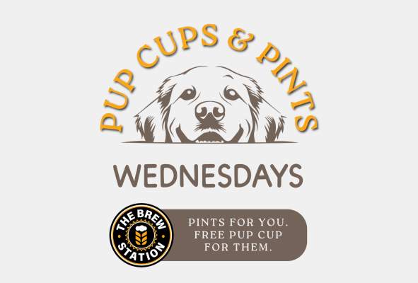 Pup Cups & Pints