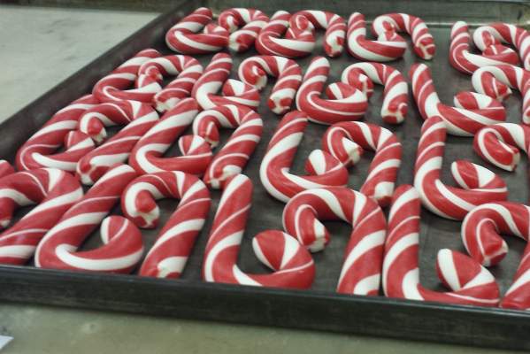Candy Cane FAQs
