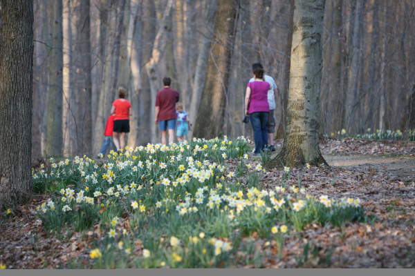 Best Places to See Spring Blooms in Summit County