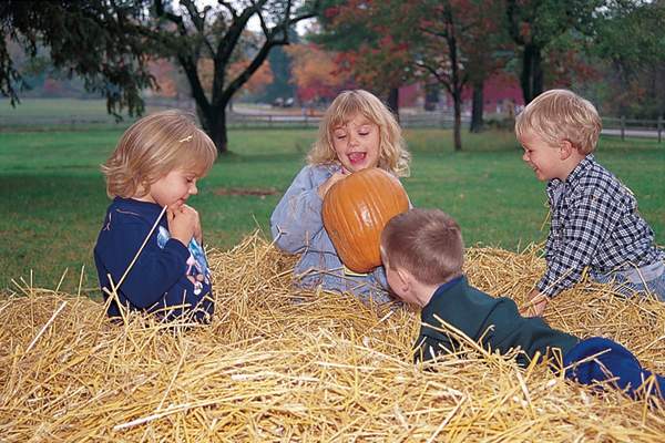 Fall Farmers Markets and Pumpkin Patches in Summit County