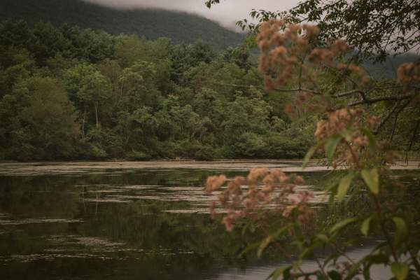 Rocky Gap State Park Mountain Biking Trails - Flintstone MD
