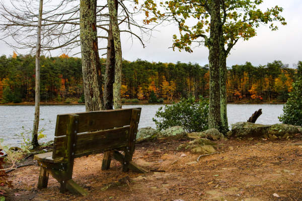 Rocky Gap State Park Trail - Flintstone MD