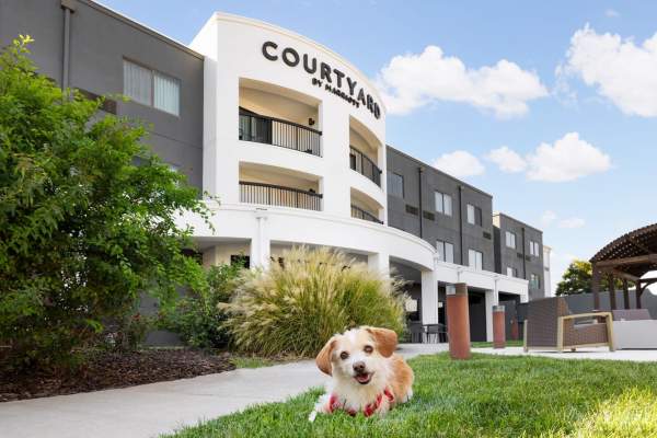 a small dog lounges on green grass outside the Courtyard by Marriott in Amarillo, with the hotel’s modern white facade, balconies, and outdoor seating area set against a bright blue sky
