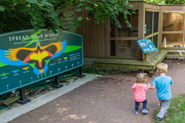 A Photographer Family's Guide to Ann Arbor