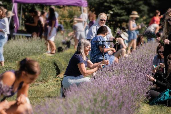 Everything to Know About Milan's Lavender Harvest Festival