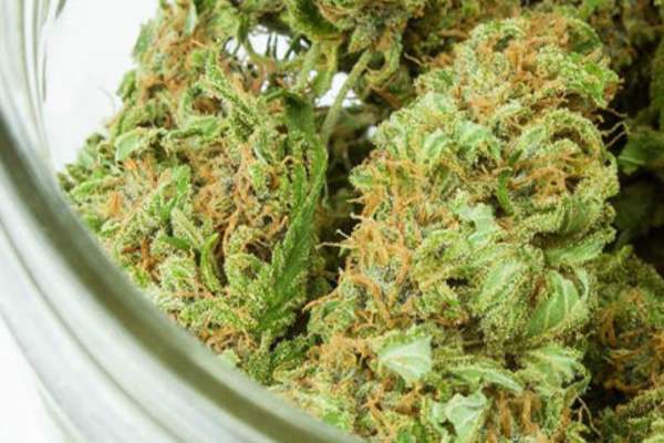 Jar of cannabis