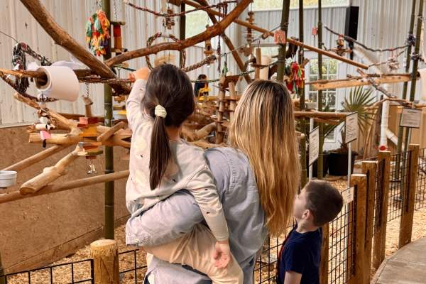 Is Ann Arbor Autism-Friendly? What One Family Loved and Where They Went