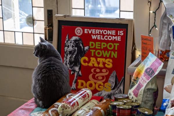 can sits on table in front of a red sign that reads "everyone is welcome Depot Town cats & Dogs". There is sealed pet food on the table.