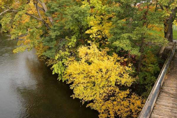 Discovering the Border to Border Trail: Ypsilanti Corridor