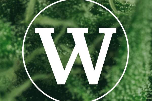 Winewood Organics logo