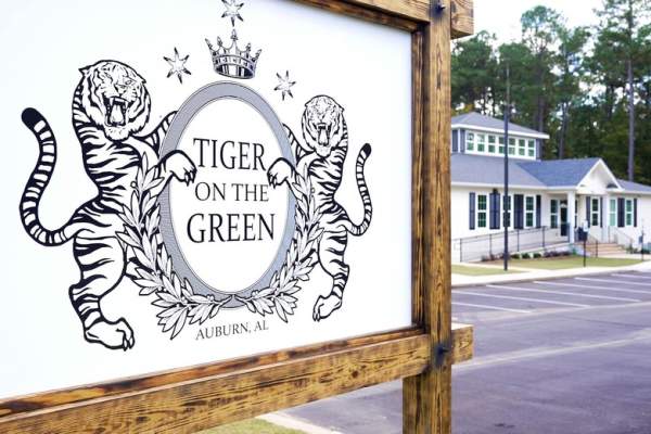 Tiger On The Green