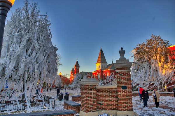 Toomers Corner rolled after Auburn win