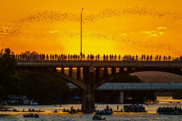 Visit Austin Unveils Bold Digital Transformation, Launching New Website