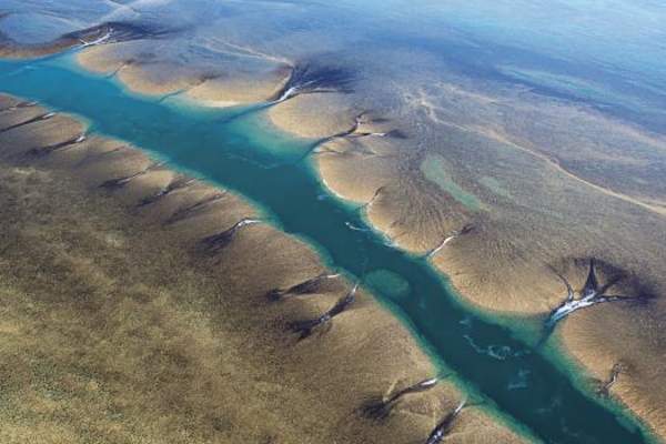 Montgomery Reef & Lalang-garram/Camden Sound Marine Park