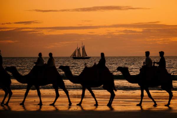 Camels silhouetted by the sunset on Cable Beach, Broome.