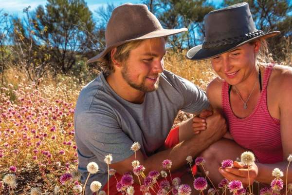 Pilbara wildflowers - TWA