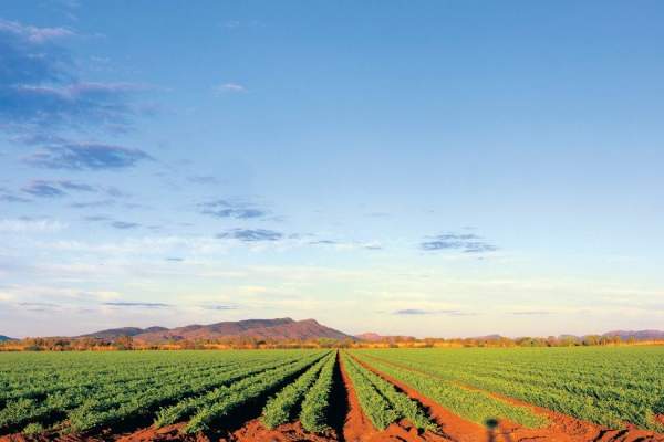 Ord River Irrigation Area