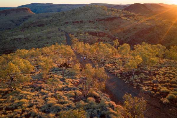 A couple walks along a marked walk trail on Mt Bruce. The trail winds through the spinifex landscape.