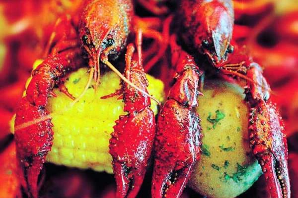 Crawfish