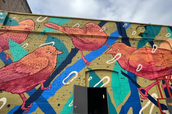 bird mural