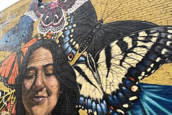 Butterflies and Carmen