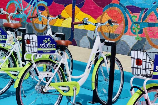 Bikes and Birds Mural