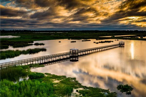 Aerial view of the boardwalk at Cattail Marsh