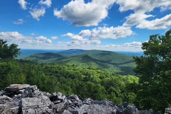 Mountain Nature