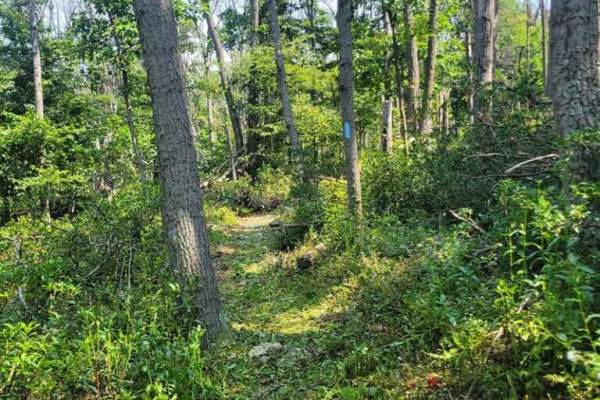 Tuscarora-Trail-768x768