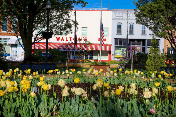 The original Walton's 5&10 storefront in Bentonville, framed by vibrant yellow tulips and greenery in the foreground, under a clear blue sky.