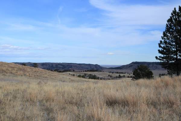 East Bison Flats Trail - Wind Cave National Park