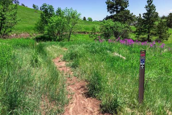 Hanson-Larsen Memorial Park