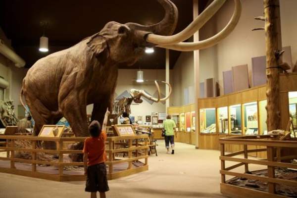 Fossils, Prehistoric & Natural Wonders