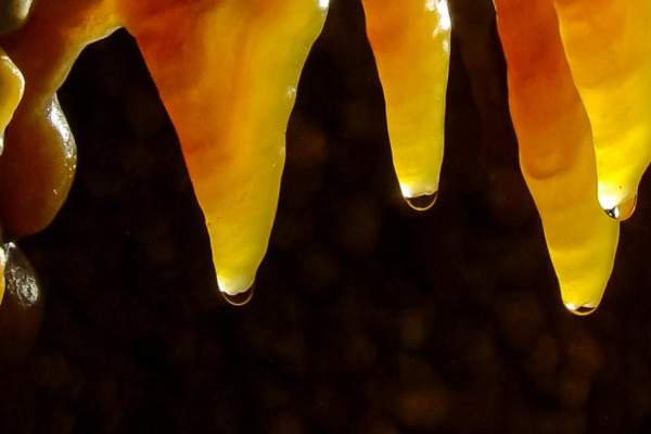 Jewel Cave