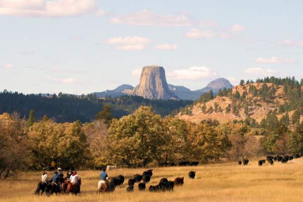 Devils-Tower