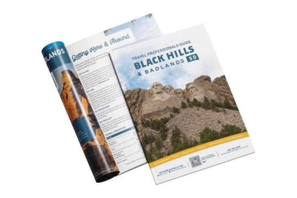travel pro guide