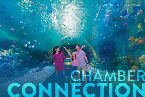 Chamber Newsletter: July 31, 2025