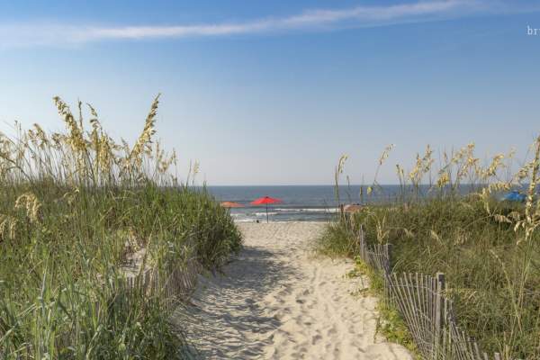 Which Brunswick Islands Beach is the Best Fit for you?