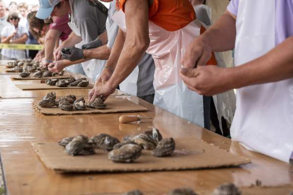 Oyster Shucking Contest at NC Oyster Festival in Shallotte, NC