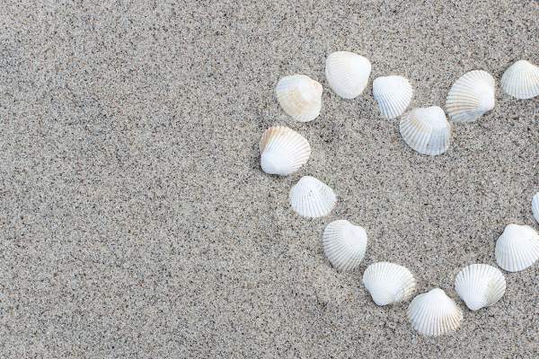 Love Is In the Air: Valentine's Day on Cape Cod