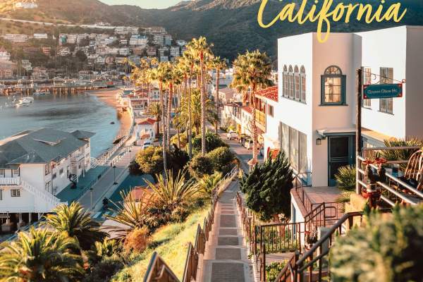 2026 Catalina Island Visitors Guide