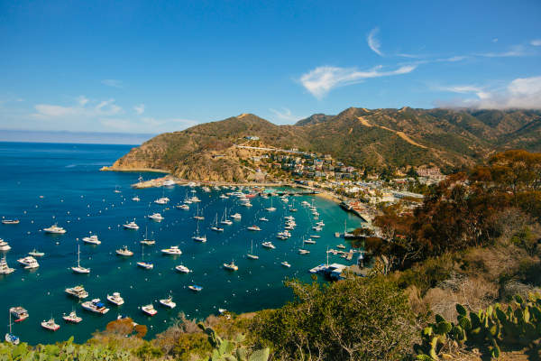 Fall ‘What’s Happening” on Catalina Island