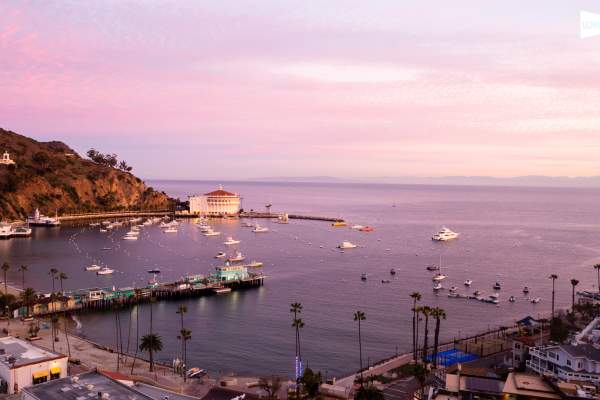 Catalina Island Reopens to Leisure Travelers