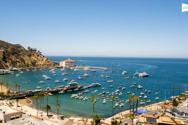 What's New on Catalina - Summer 2021