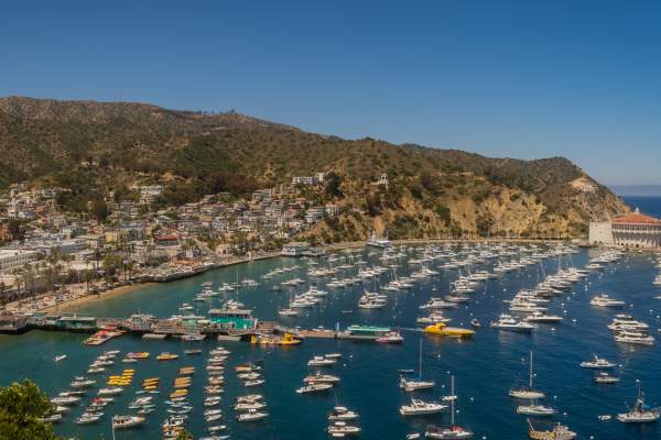 Second Summer Lodging Special on Catalina Island