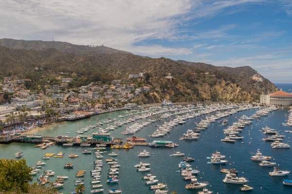 Love Catalina Celebrates Award Winners and Installs 2026-27 Board